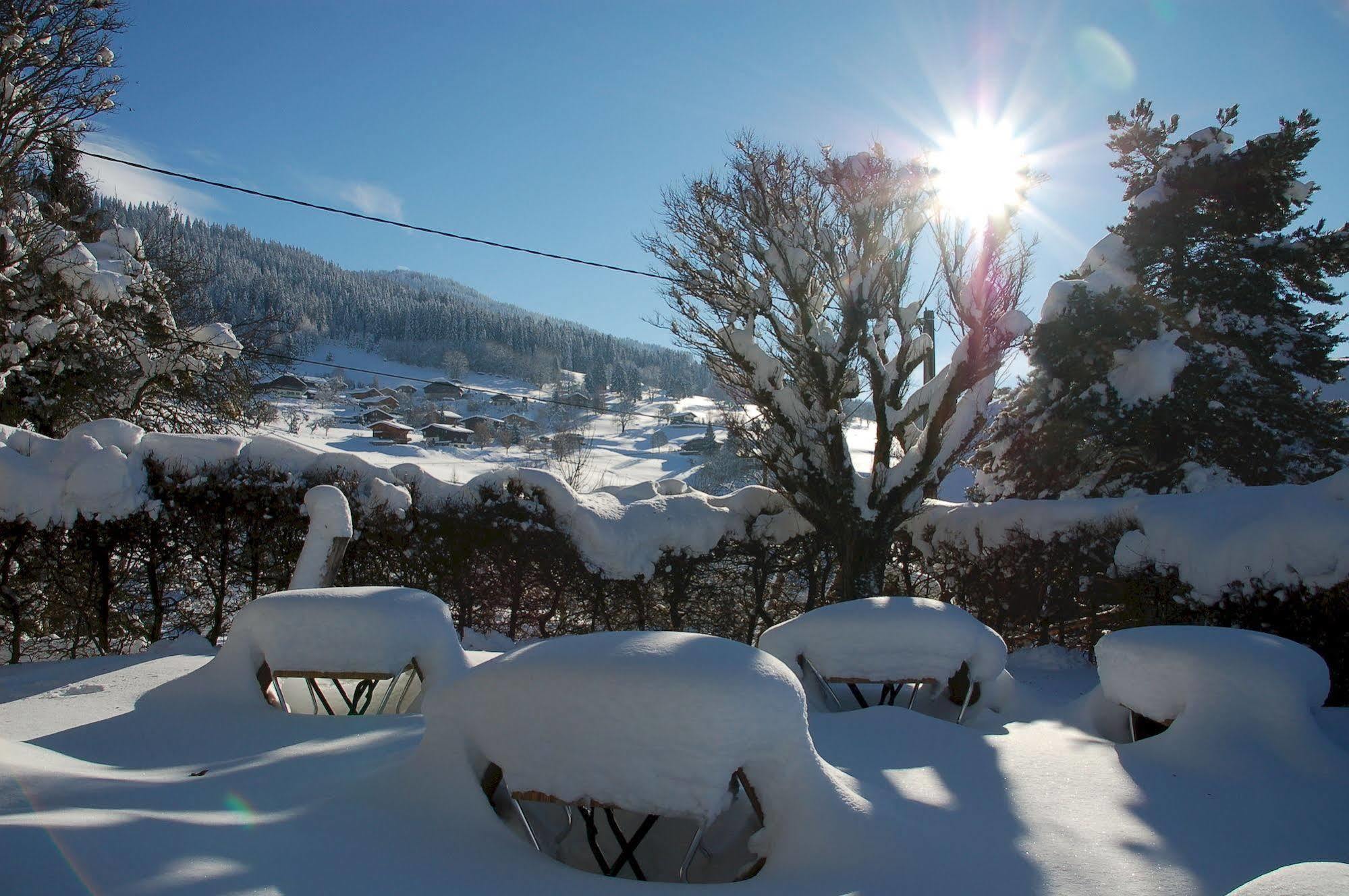 Hotel Le Caprice Des Neiges 꽁블루 외부 사진